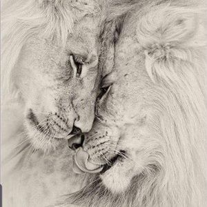 Meet your Posher, Val